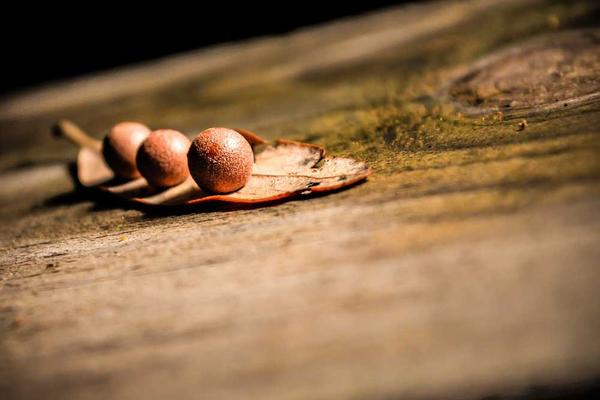 山东蔬菜批发业务